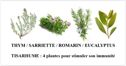 Tisarhume : contre le rhume, une synergie de 4 plantes